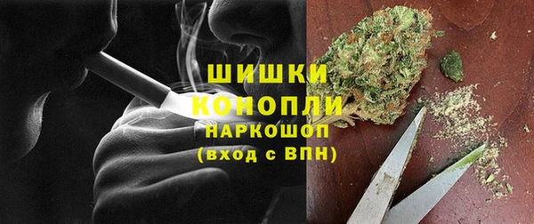 индика Абаза