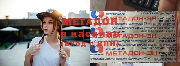 индика Абаза
