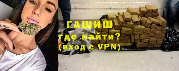 индика Абаза